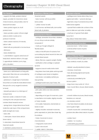 PDF (Colour) — Style 1
