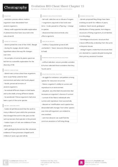 PDF (Colour) — Style 3