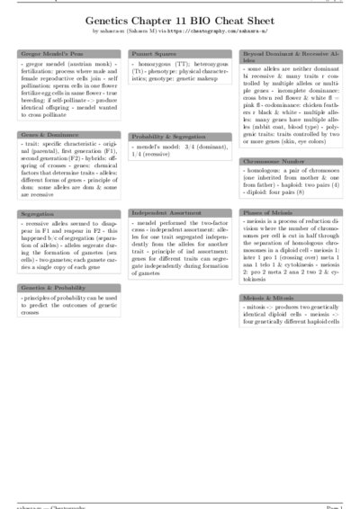 LaTeX (Compiled PDF)