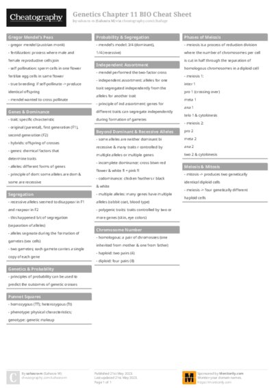PDF (Colour) — Style 1