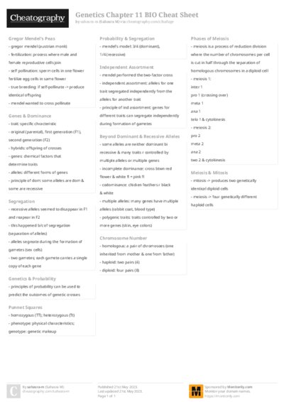 PDF (Colour) — Style 2
