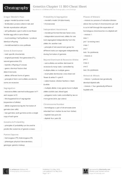 PDF (Black & white) — Style 2