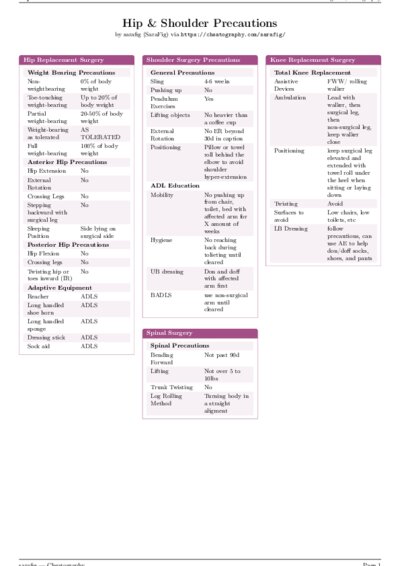 LaTeX (Compiled PDF)