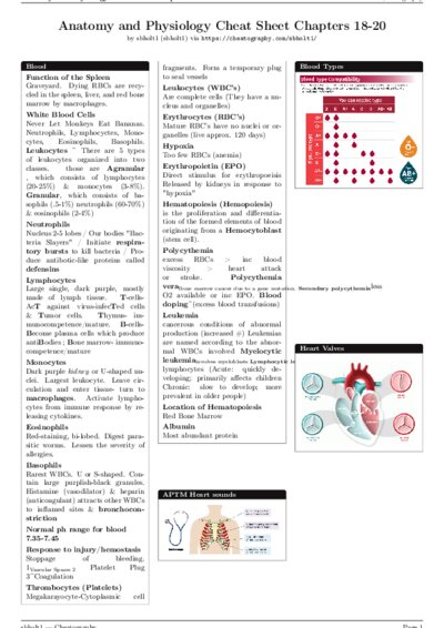LaTeX (Compiled PDF)