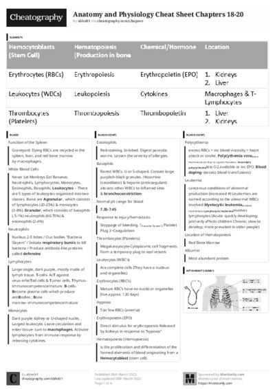PDF (Black & white) — Style 3