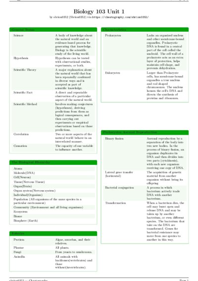 LaTeX (Compiled PDF)