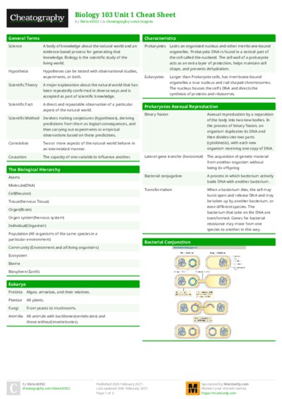 PDF (Colour) — Style 1