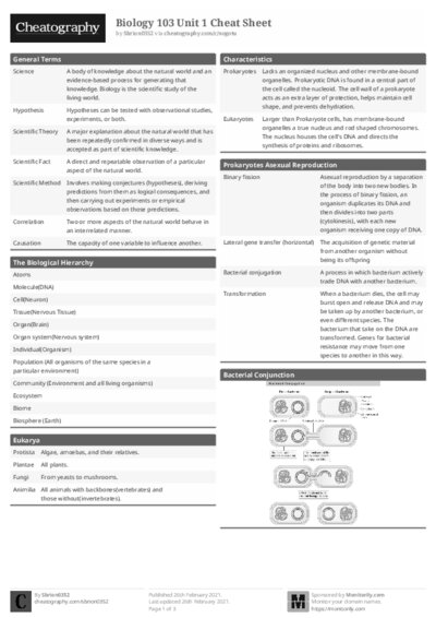 PDF (Black & white) — Style 1
