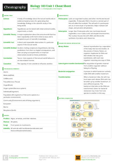 PDF (Colour) — Style 3