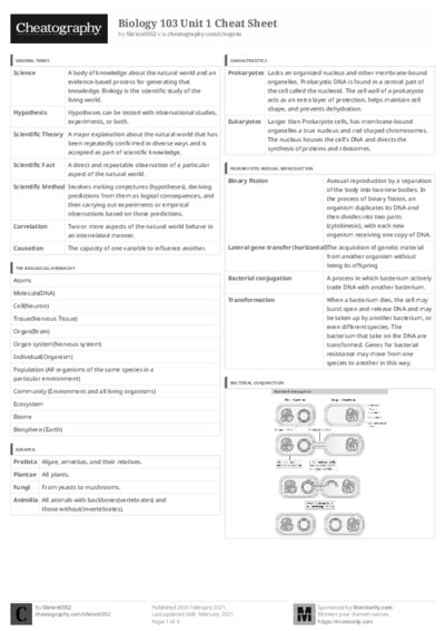 PDF (Black & white) — Style 3