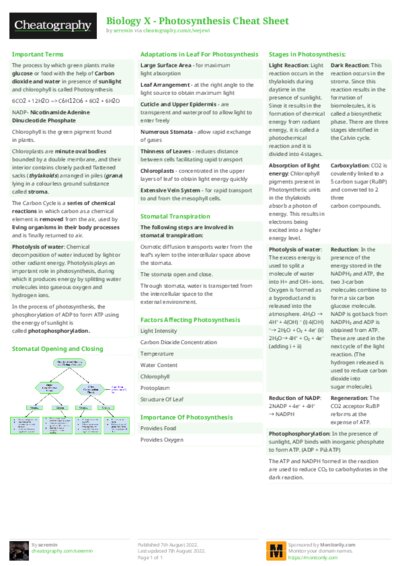 Biology X - Photosynthesis Cheat Sheet