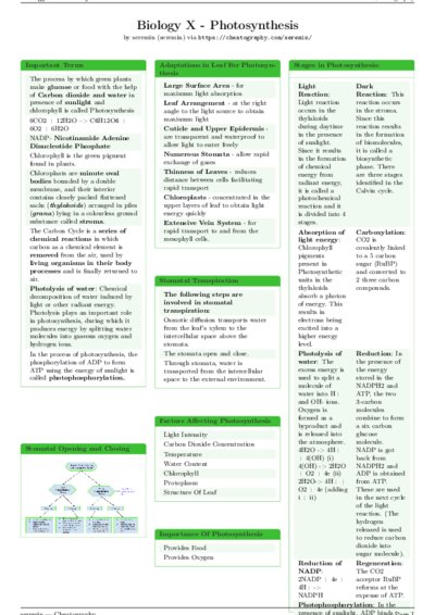LaTeX (Compiled PDF)