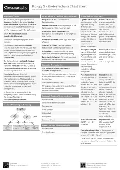 PDF (Black & white) — Style 1