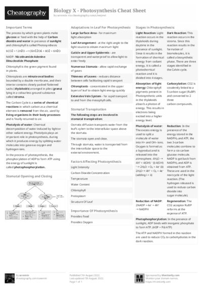 PDF (Black & white) — Style 2