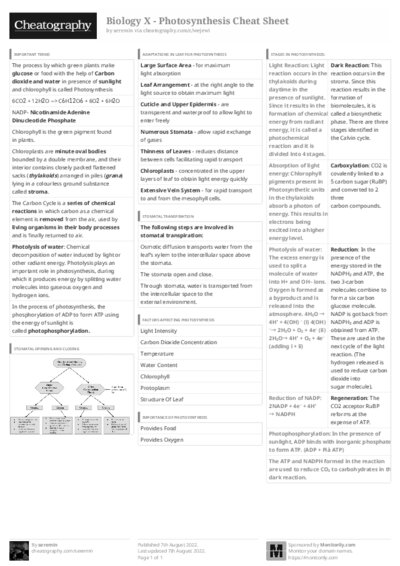 PDF (Black & white) — Style 3