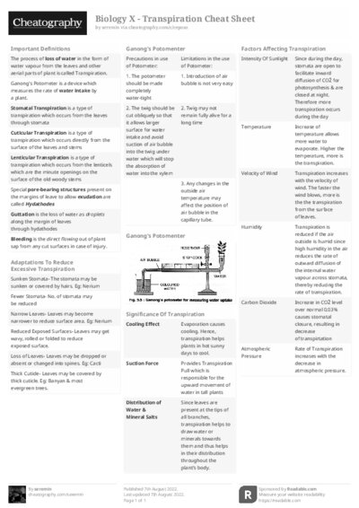 PDF (Black & white) — Style 2