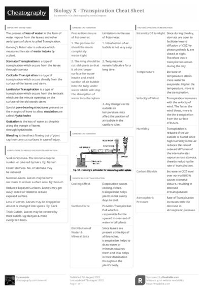 PDF (Black & white) — Style 3