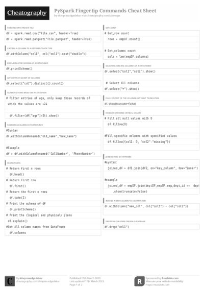 PDF (Black & white) — Style 3