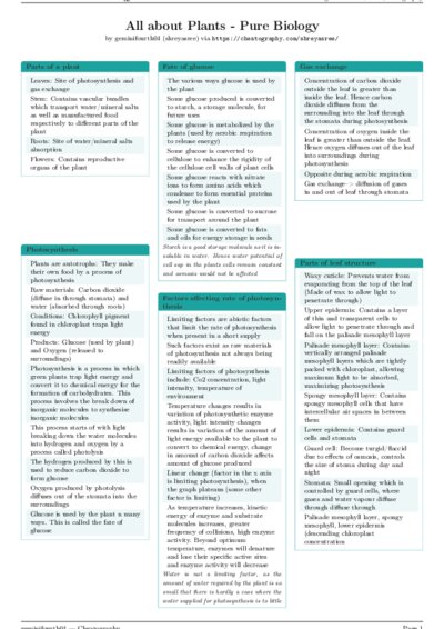 LaTeX (Compiled PDF)