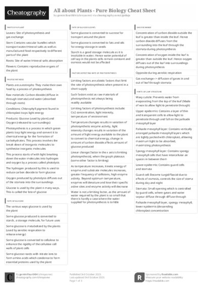 PDF (Black & white) — Style 3