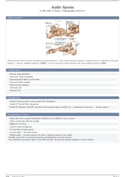 LaTeX (Compiled PDF)