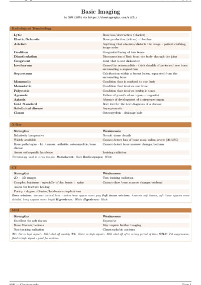 LaTeX (Compiled PDF)