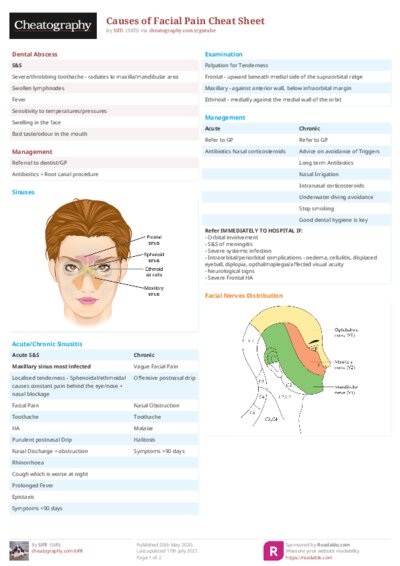 PDF (Colour) — Style 2