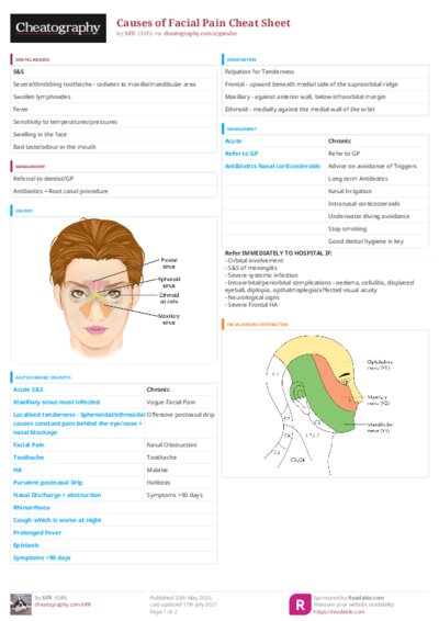 PDF (Colour) — Style 3