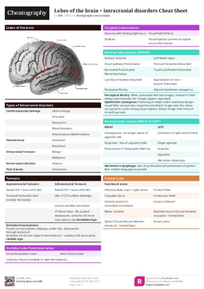 Lobes of the brain + intracranial disorders Cheat Sheet