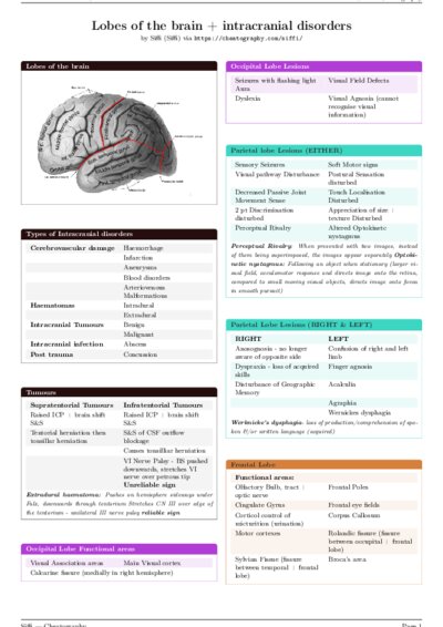 LaTeX (Compiled PDF)