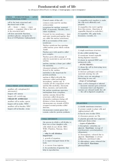 LaTeX (Compiled PDF)