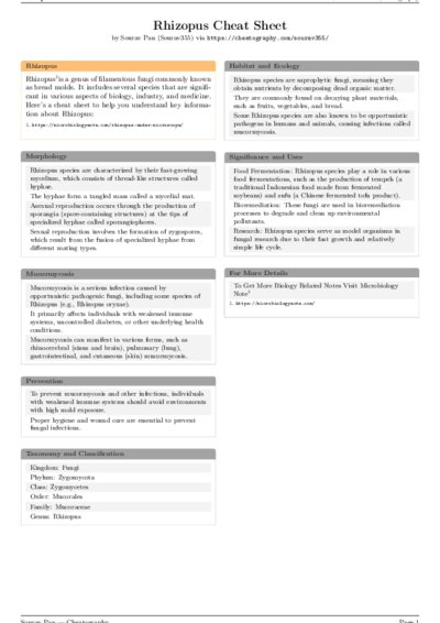 LaTeX (Compiled PDF)