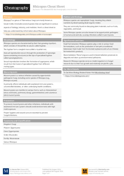 PDF (Colour) — Style 1