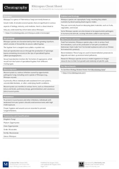 PDF (Black & white) — Style 1