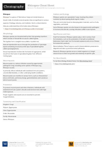 PDF (Colour) — Style 2