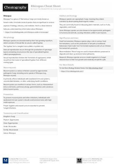PDF (Black & white) — Style 2