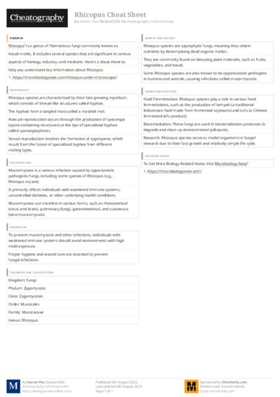 PDF (Colour) — Style 3