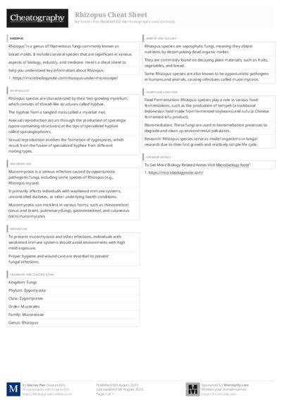 PDF (Black & white) — Style 3