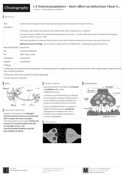 PDF (Black & white) — Style 3