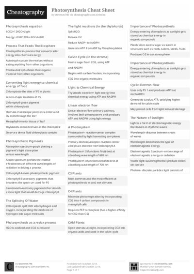 PDF (Black & white) — Style 2