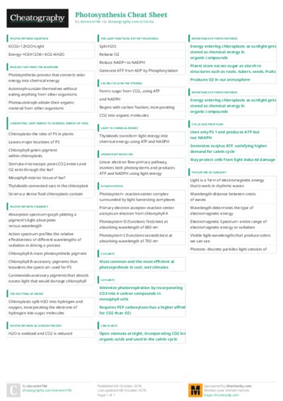 PDF (Colour) — Style 3