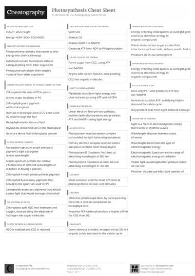 PDF (Black & white) — Style 3