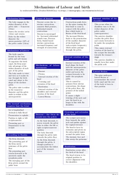 LaTeX (Compiled PDF)