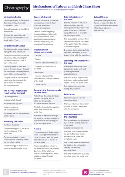 PDF (Colour) — Style 2