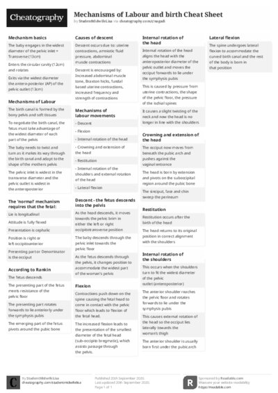 PDF (Black & white) — Style 2