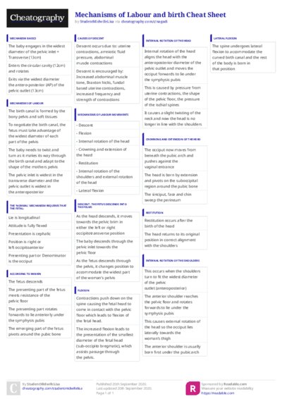 PDF (Colour) — Style 3