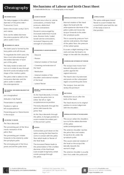 PDF (Black & white) — Style 3