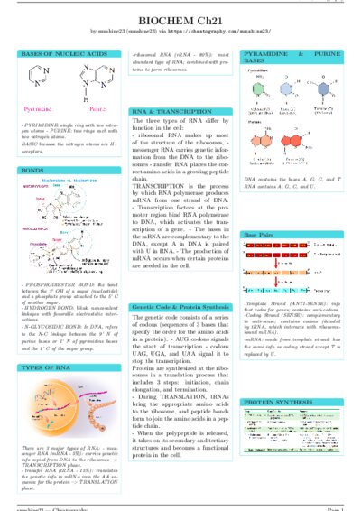 LaTeX (Compiled PDF)
