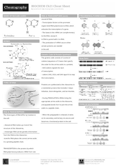 PDF (Black & white) — Style 1