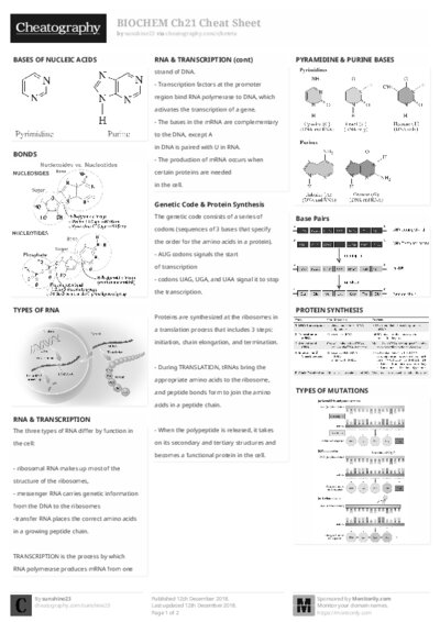 PDF (Black & white) — Style 2
